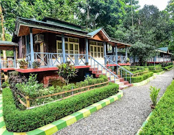 Tea Garden Haven